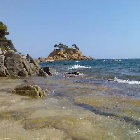 Les Sureres * Sant Antoni De Calonge
